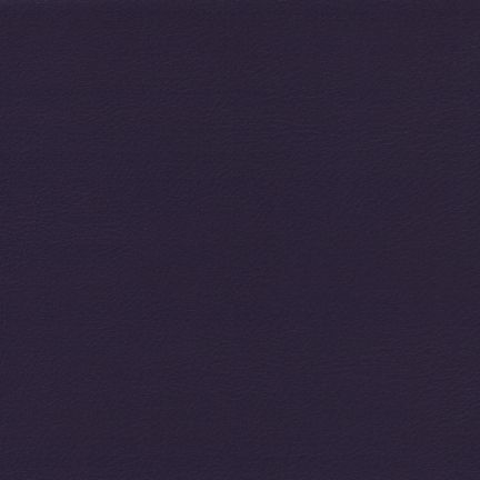 A dark, nearly black textured surface.